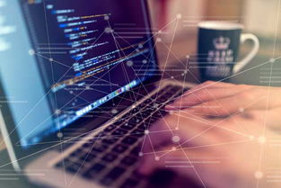 自助建站五步走，輕松掌握技術開發核心