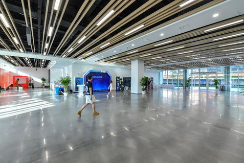 相約湖北 夢幻靈境AI展演中心即將開館，共探網絡技術開發新前沿